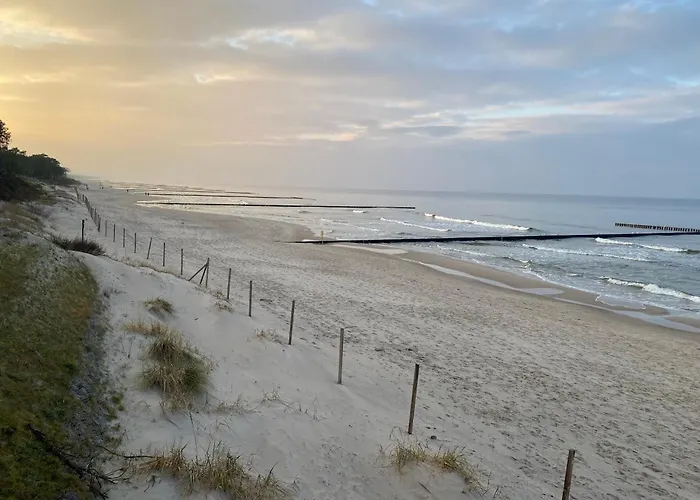 Faro Kasprowicza 20 *